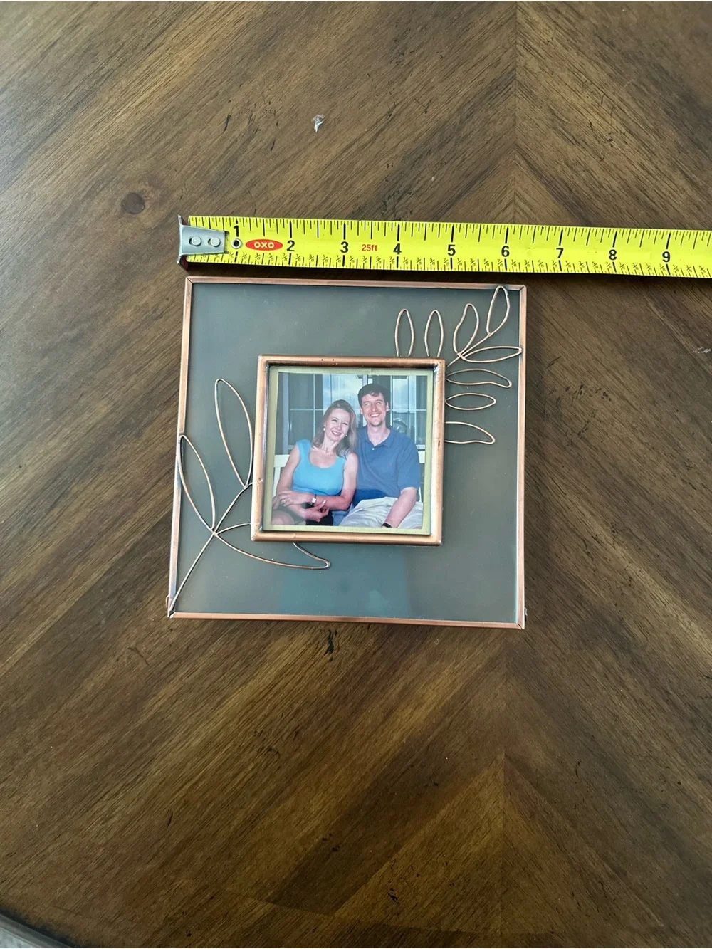 Hallmark Copper-Tone Leaf Accent Picture Frame